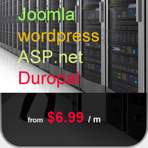 Ecommerce Website Hosting And Design